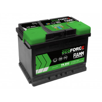 075 Ecoforce AFB Fiamm Battery
