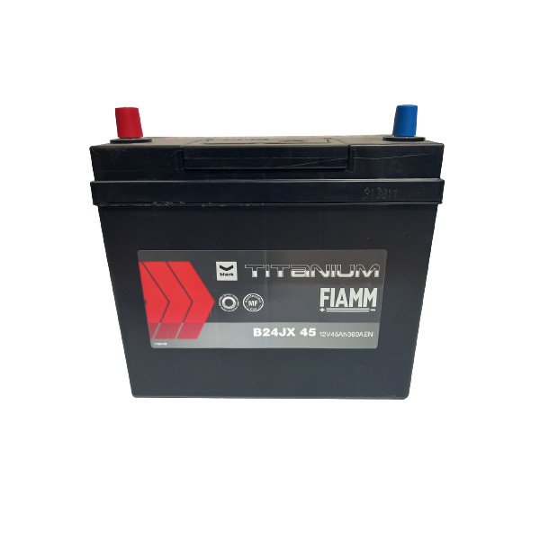 B24JX45 057  Diamond Fiamm Batt image