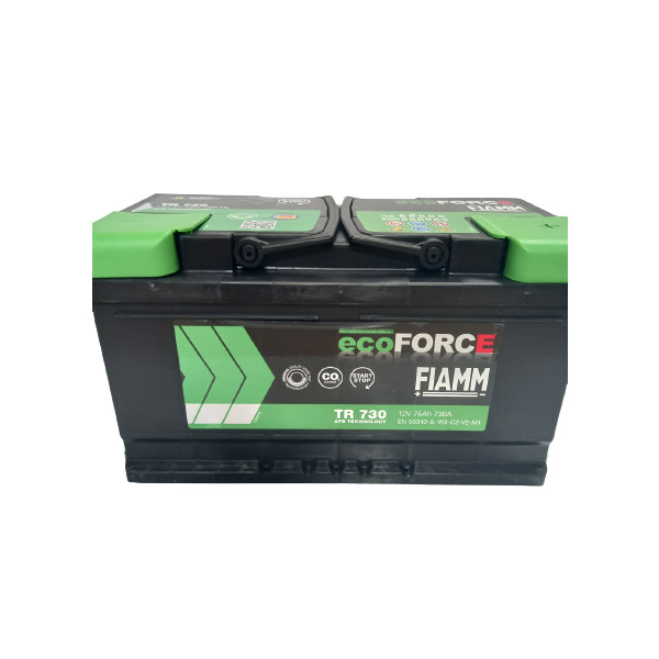 110 Fiamm Ecoforce AFB Battery image