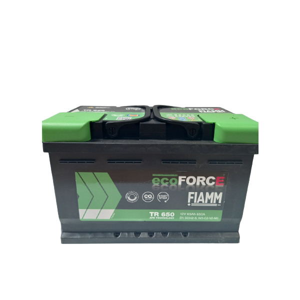 100 Fiamm Ecoforce AFB Battery image