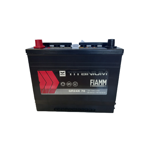 069 Diamond Fiamm Battery image