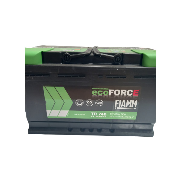 110 Ecoforce AFB Fiamm Battery image
